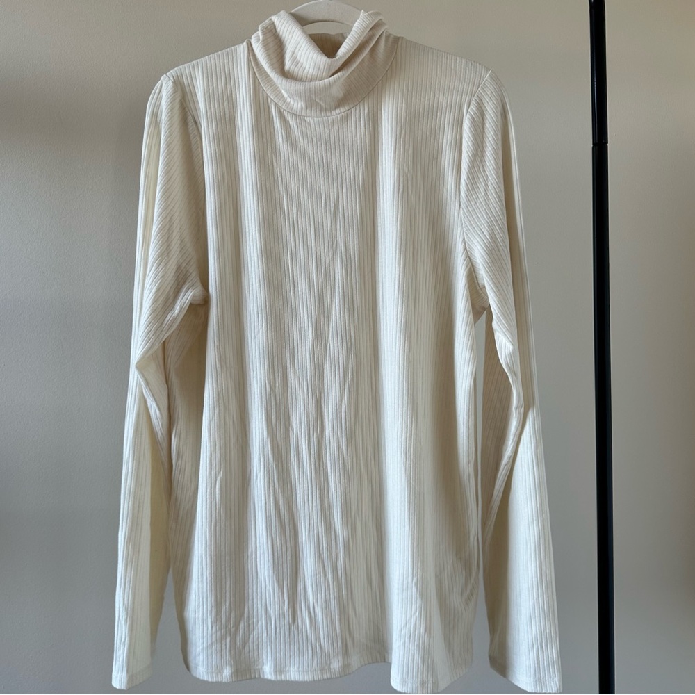 Madewell Cream Turtleneck Ribbed Top